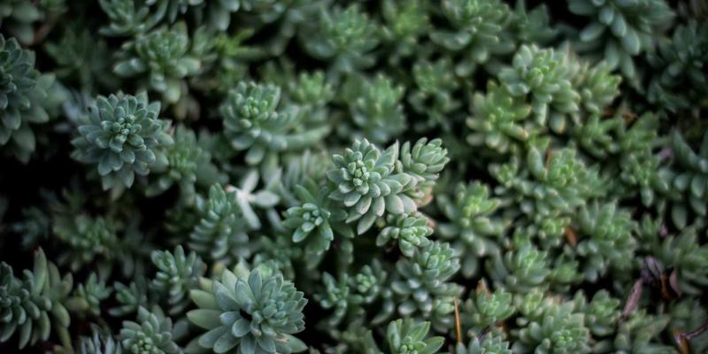 大连体育产业发展规划：足球之城与马拉松赛事的品牌效应如何重塑城市活力