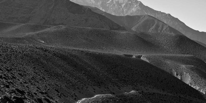 大连基础教育改革观察：集团化办学如何重塑社区教育资源生态