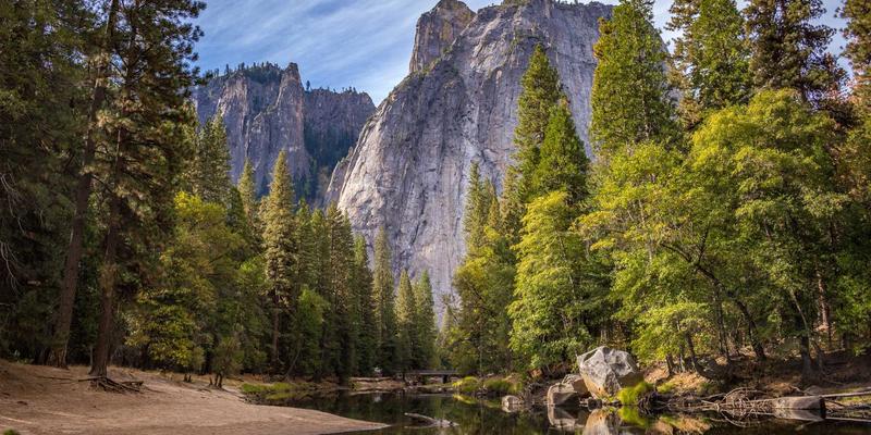 大连新闻：从森林城市到口袋公园，看城市绿化如何重塑大连生活