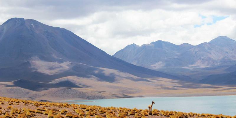 大连新闻趋势观察:便民服务升级、城市活动焕新与品质生活探索