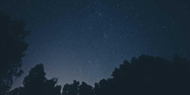 大连活动新热点：探秘东港商务区艺术场馆与滨海文旅融合新地标