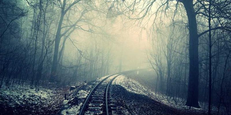 大连海洋经济转型新蓝图：从传统渔业到生物医药产业的跨越