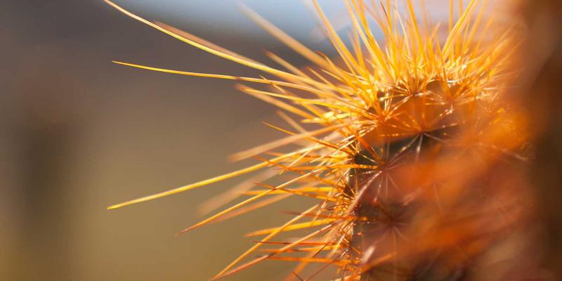 大连生活新地标：探秘东港商务区艺术文化场馆生态圈