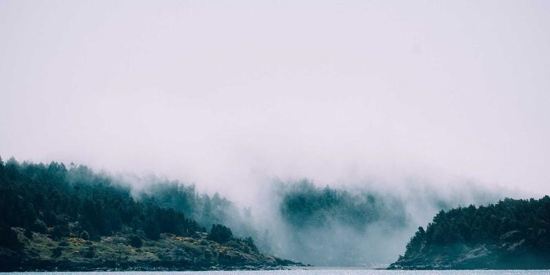 大连生活新篇章：海上风电、核能供热与绿色低碳城市试点如何改变我们的社区