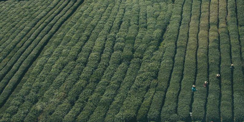 大连社区热议：新机场选址与跨海通道规划如何重塑城市未来？