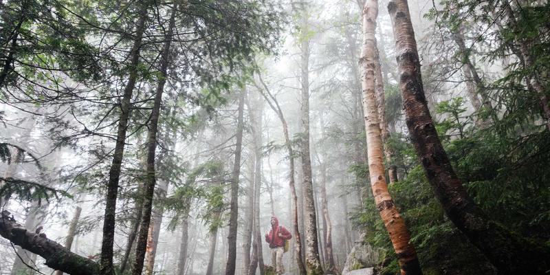 大连老旧小区改造实践：资金筹措与长效管理机制探索