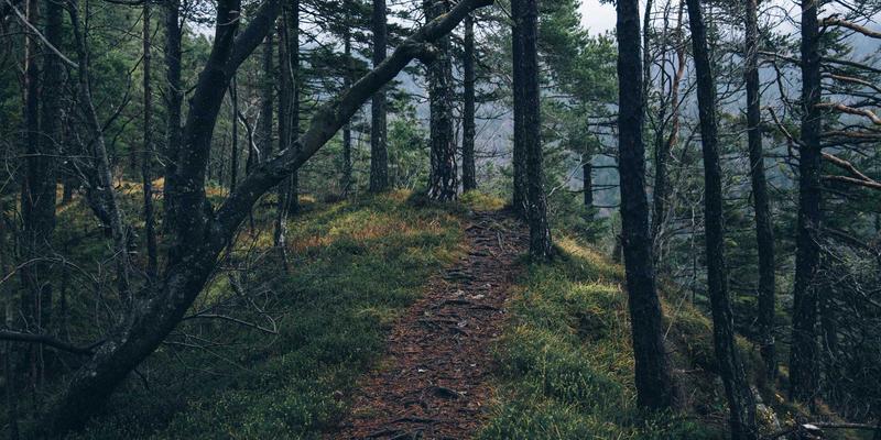 大连足球文化深度解析：从城市精神到社区生活，看足球如何塑造大连便民服务与社区生态