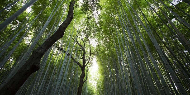 大连轨道交通新动脉：地铁5号线开通如何重塑城市通勤与社区生活