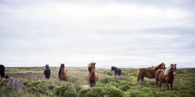 点亮滨城之夜：大连社区便民服务创新如何激活夜间经济新场景
